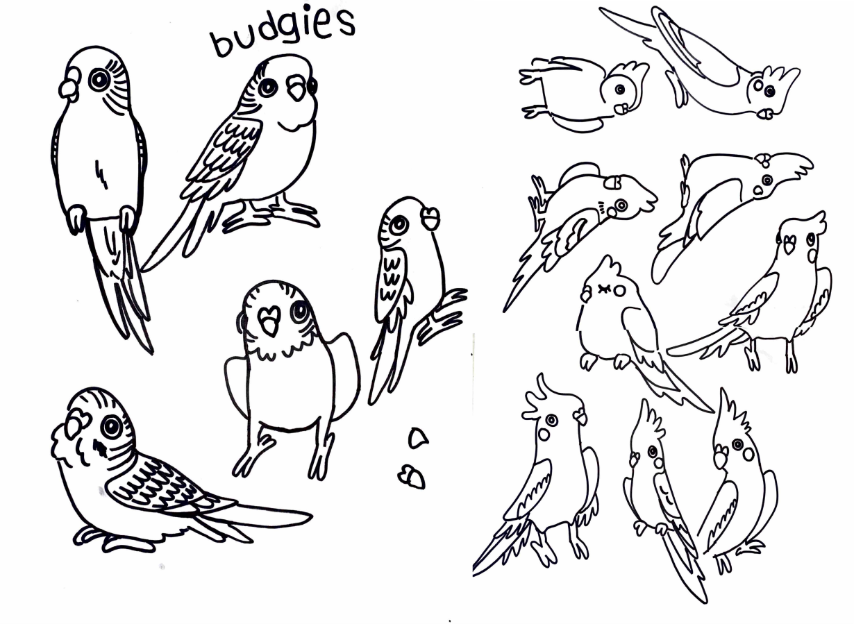 Scan of sharpie doodles of budgies and cockatiels